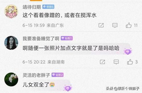 今日大瓜是什么意思,“大瓜”背后的真相与热议焦点