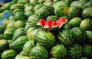 重庆双福今日麒麟瓜价格,价格行情一览