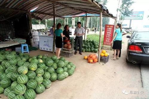 石门市场今日瓜价,今日瓜价行情一览