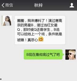 明星网红h资源网址,热门话题背后的秘密
