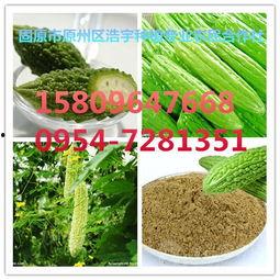 今日水瓜价格最新行情,最新行情解析与市场趋势洞察