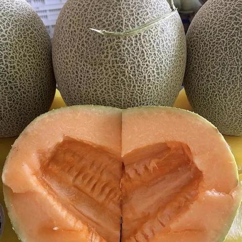 哈密瓜多少钱今日,今日哈密瓜价格行情揭晓