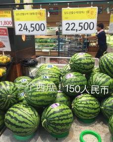 韩寺哈密瓜今日行情,行情看涨！”