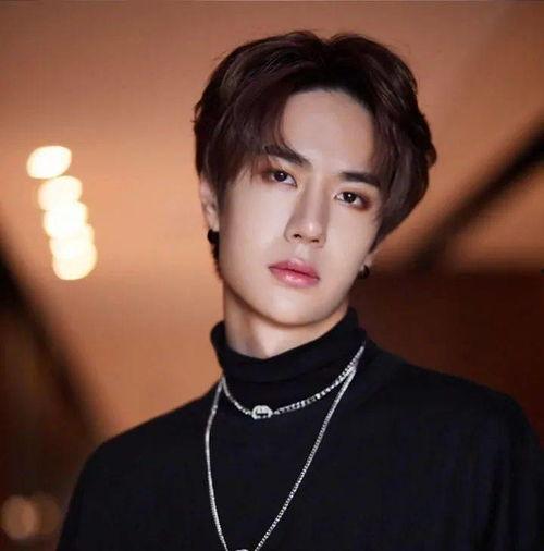 明星网红同款造型男生,揭秘明星网红同款造型男生魅力解析