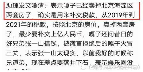 提高明星网红的税收,明星网红税收优化策略解析