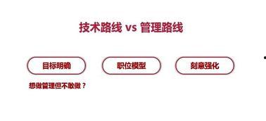 今日聊职是什么瓜,揭秘校园热门“瓜”事件背后的真相