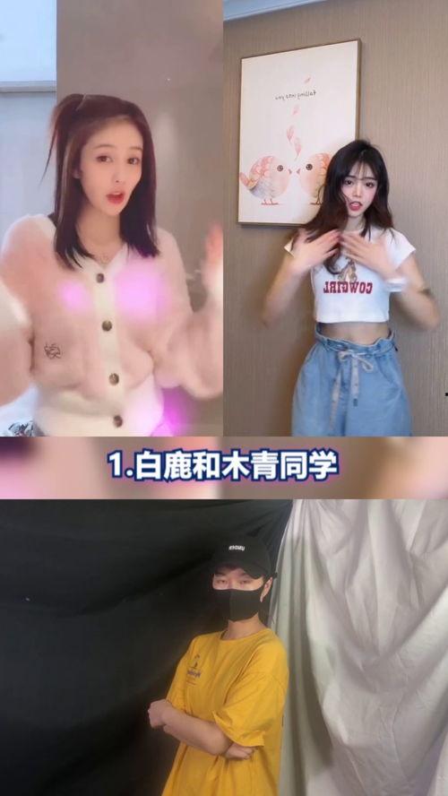 明星网红跳舞蹈视频大全,动感舞步，魅力四溢