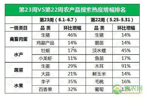 今日小井瓜价格行情表,涨跌波动，市场动态一览
