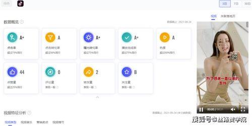 如何找明星网红合作视频,揭秘明星网红合作视频的精准对接策略