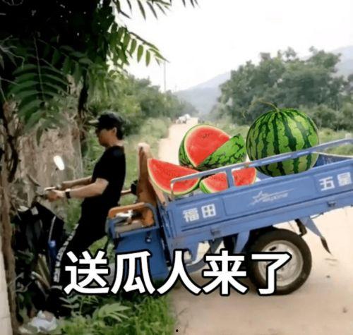 今日吃瓜文案短句,短句盘点，笑料连连