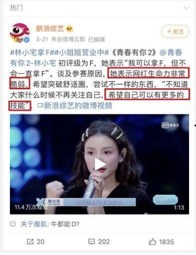 新闻直播明星网红有哪些,盘点当下热门新闻直播明星网红