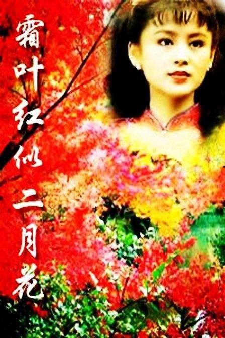 霜叶红于二月花电视剧,一部描绘革命岁月的传奇史诗