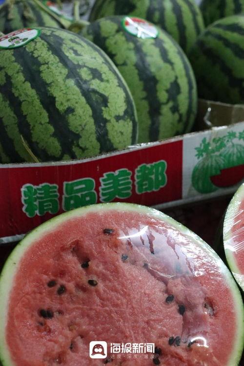 甜王瓜今日价格,甜蜜来袭，市场行情一览