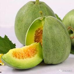 甜王瓜今日价格,甜蜜来袭，市场行情一览