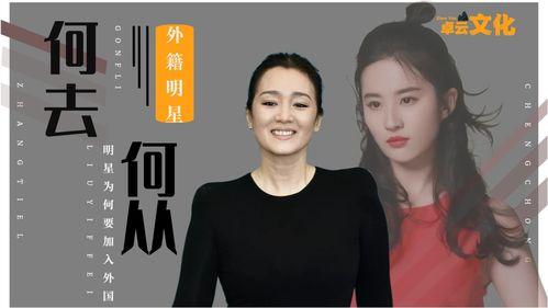 为什么明星网红可以从政,跨界融合背后的社会思考