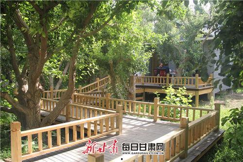 瓜州县西湖镇今日新闻,聚焦乡村振兴，共绘美好家园新画卷