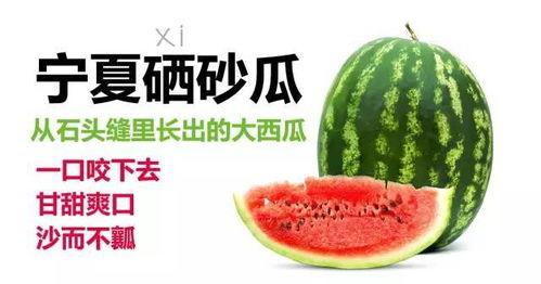 宁夏硒砂瓜今日报价,价格行情一览”