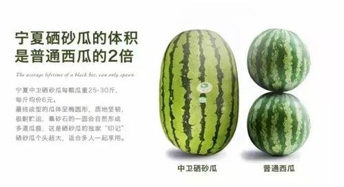 宁夏硒砂瓜今日报价,价格行情一览”