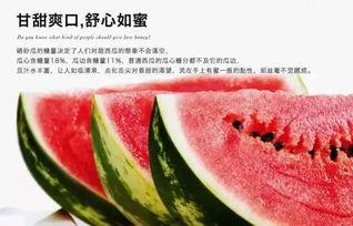 宁夏硒砂瓜今日报价,价格行情一览”