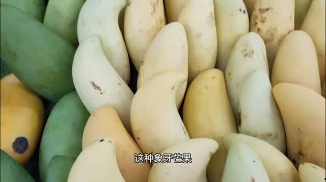 今日山东茭瓜价格行情,今日市场动态一览