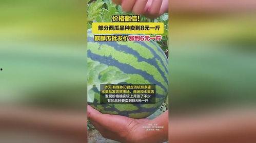 麒麟瓜批发今日价格多少,行情波动，关注最新动态
