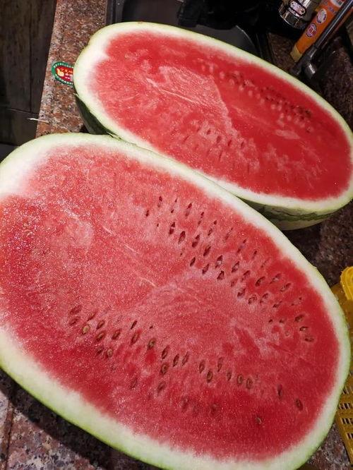 今日瓜干价格最新行情,今日价格波动一览
