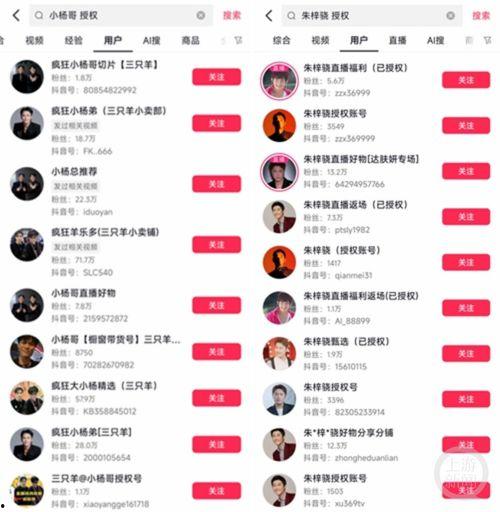 明星网红切片授权怎么申请,轻松获取热门内容使用权