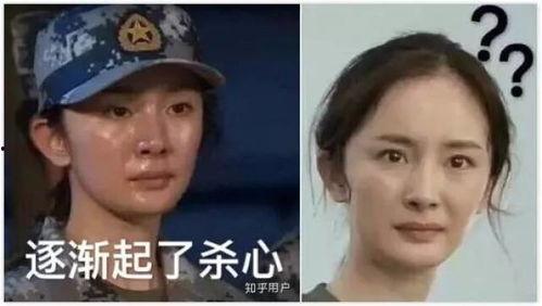 表情包明星网红图片可爱,网红表情包明星的可爱瞬间大盘点