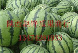 临沂哈密瓜今日价格行情,价格行情一览”