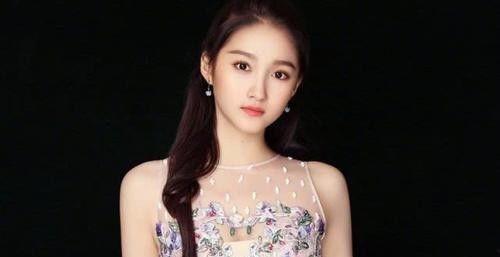 明星网红募捐事件真相,爱心背后的曲折与反思