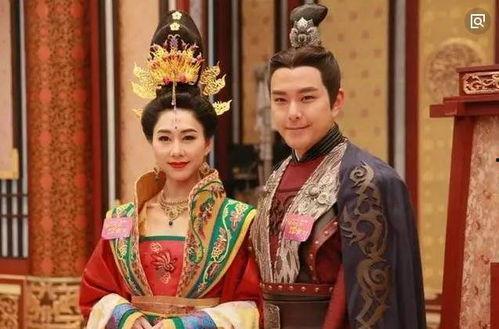 宫心计电视剧,宫廷权谋与爱恨情仇的纠葛