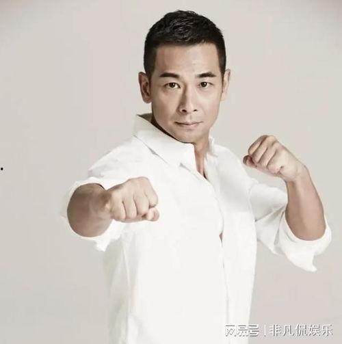 武打明星网红排行榜
