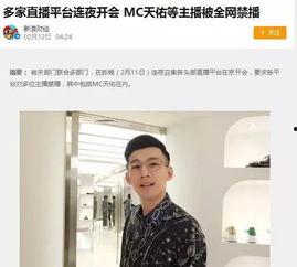 明星网红主播瑶哥,网红主播的璀璨星途与粉丝的共鸣之旅