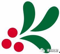浦城吊瓜今日价格表,市场行情一览