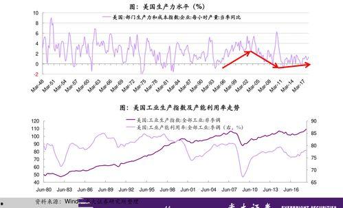 乳瓜今日行情走势,今日走势解析