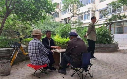 明星网红小区租房改造,网红明星效应下的明星网红小区租房改造风潮
