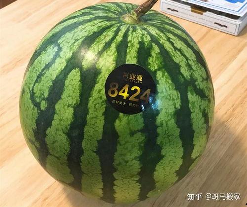 小圆瓜今日价格表图片大全,今日市场行情一览