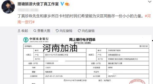 明星网红为河南捐款名单,爱心汇聚，助力灾后重建