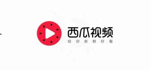 仲尼是什么瓜今日头条,揭秘今日头条上的神秘瓜种
