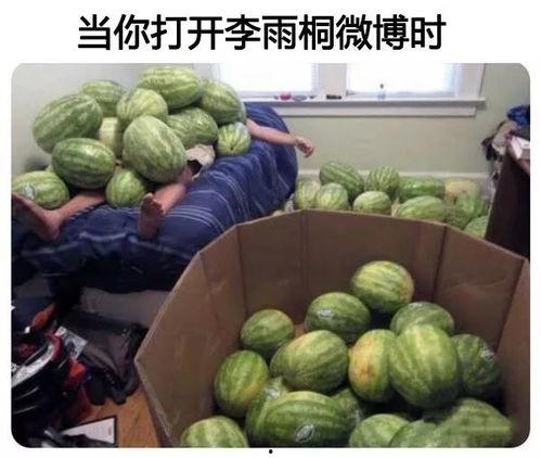 网今日吃瓜大赛,瓜田李下，谁主沉浮？