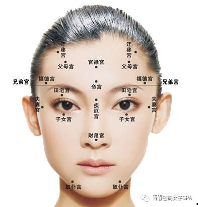 面相学脸型分析明星网红,明星网红脸型解析，揭秘颜值背后的秘密