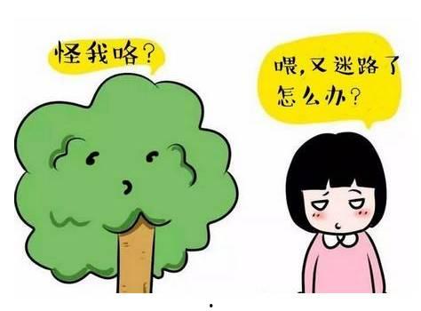 今日吃瓜必吃防走丢,防走丢，轻松应对各种场合