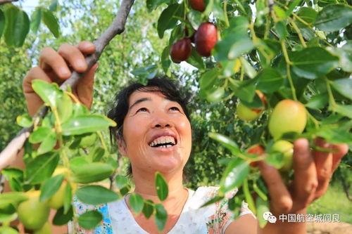 阎良吊瓜今日行情,丰收喜讯，价格稳中有升