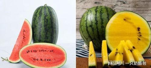 今日最火的瓜,XX事件真相大揭秘！