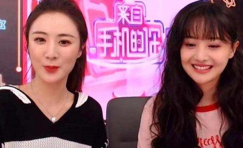 别让明星网红挣钱了吗小说,揭秘娱乐圈背后的真相