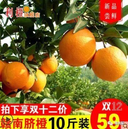 今日2k吊瓜价格行情,今日市场动态一览”