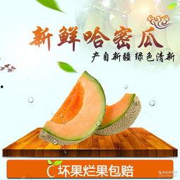 新疆哈密瓜今日行情