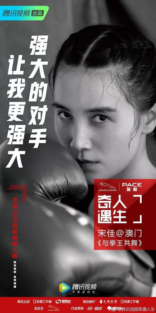 明星网红对比文案怎么写,一场跨界对比的视觉盛宴