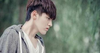 吴亦凡电视剧,穿越时空的青春传奇