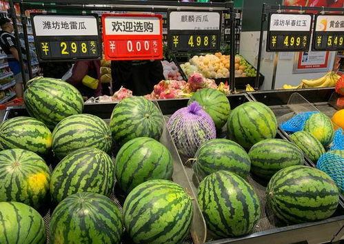 今日宜扭蛋的瓜,揭秘瓜界新潮流